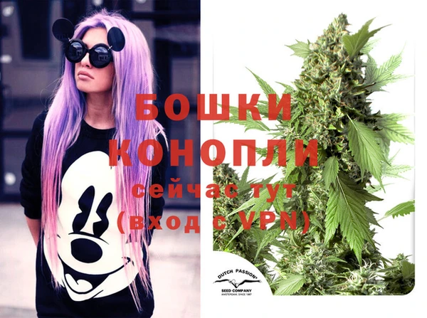 индика Балахна