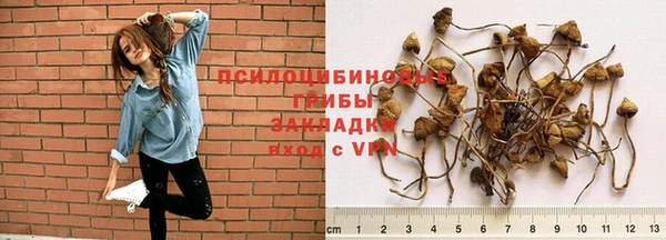 шишки Сафоново