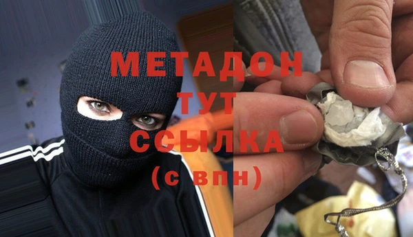 дмт Болотное