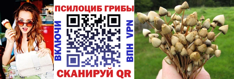 Псилоцибиновые грибы мицелий  купить наркоту  Белая Холуница 